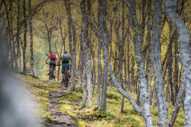 Mountainbiken: Miteinander in Lebensräumen