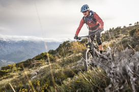 Übungsleiter:in Mountainbike: Digitale Kursbausteine